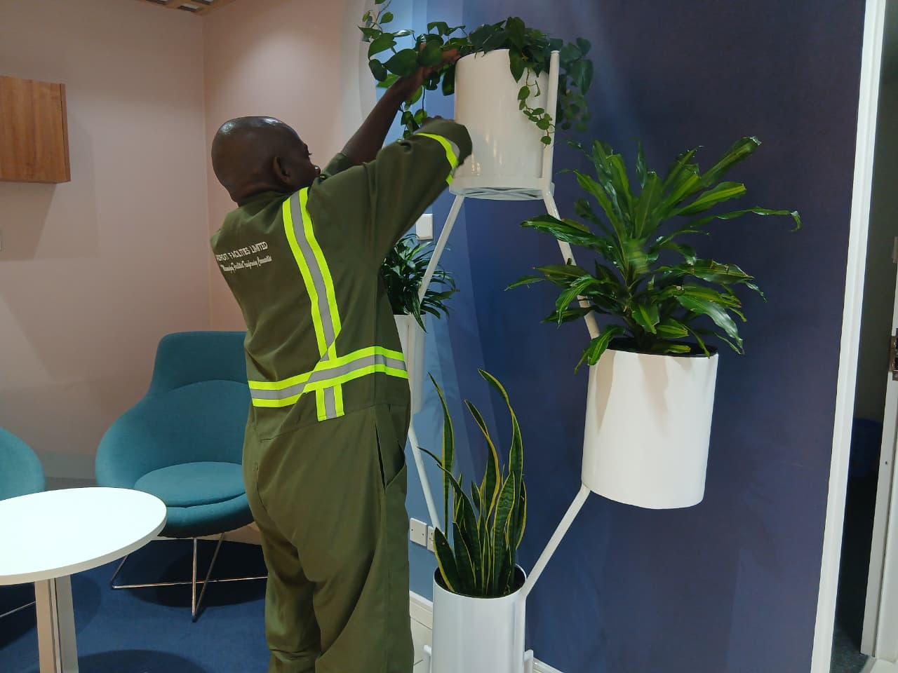 Service Image